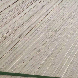 Cina Veneer kayu Poplar, Menghadapi kayu lapis kelas komersial satu kali, Panas tekan bahan inti penuh pabrik